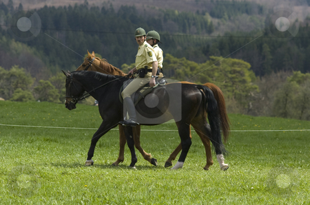 To use this stock image in your creative project, please select the size you need over to the right and click the "Add to Cart" button.
Your downloaded image will come with the Cutcaster watermark removed so don’t worry about the watermark you see on this page. Mounted police stock photo, 2 mounted german policemen in the swabian mountains by Andreas Brenner