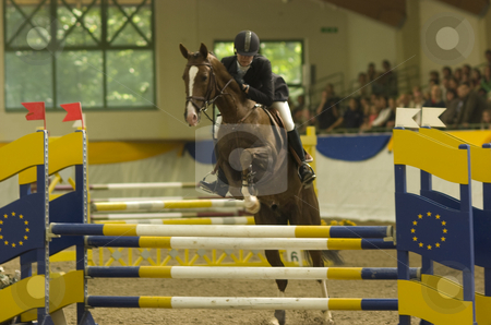 To use this stock image in your creative project, please select the size you need over to the right and click the "Add to Cart" button.
Your downloaded image will come with the Cutcaster watermark removed so don’t worry about the watermark you see on this page. Jumping stock photo, Akhal-Teke jumping on horse show indoors by Andreas Brenner