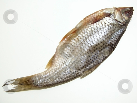 To use this stock image in your creative project, please select the size you need over to the right and click the "Add to Cart" button.
Your downloaded image will come with the Cutcaster watermark removed so don’t worry about the watermark you see on this page. One dry fish stock photo, Single dry fish over the white background by Sergej Razvodovskij
