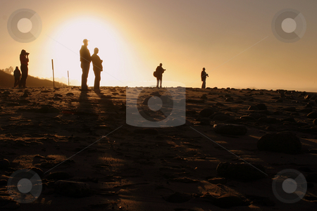To use this stock image in your creative project, please select the size you need over to the right and click the "Add to Cart" button.
Your downloaded image will come with the Cutcaster watermark removed so don’t worry about the watermark you see on this page. Photographers At Sunset stock photo, People at sunset sunrise near the pier by the beach and ocean. by Henrik Lehnerer