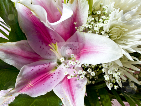 To use this stock image in your creative project, please select the size you need over to the right and click the "Add to Cart" button.
Your downloaded image will come with the Cutcaster watermark removed so don’t worry about the watermark you see on this page. Flower bouquet stock photo, Flower bouquet with pink lily and white chrysanthemum by Sergej Razvodovskij