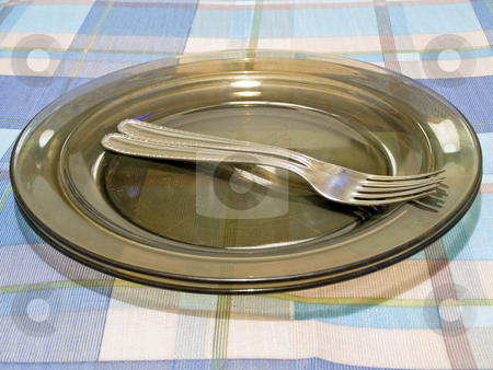 To use this stock image in your creative project, please select the size you need over to the right and click the "Add to Cart" button.
Your downloaded image will come with the Cutcaster watermark removed so don’t worry about the watermark you see on this page. Plates and forks stock photo, Plates and forks at the checkered blue tablecloth by Sergej Razvodovskij