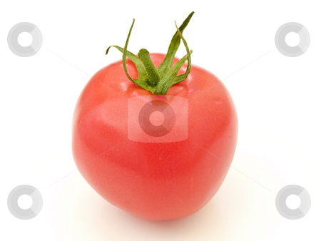 To use this stock image in your creative project, please select the size you need over to the right and click the "Add to Cart" button.
Your downloaded image will come with the Cutcaster watermark removed so don’t worry about the watermark you see on this page. Tomato stock photo, Single red tomato against the white background by Sergej Razvodovskij