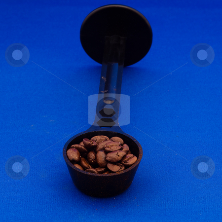 To use this stock image in your creative project, please select the size you need over to the right and click the "Add to Cart" button.
Your downloaded image will come with the Cutcaster watermark removed so don’t worry about the watermark you see on this page. Coffee beans stock photo, A coffee bean is the seed of the coffee plant (the pit inside the red or purple fruit). The fruits, coffee cherries or coffee berries, most commonly contain two stones with their flat sides together. by Mariusz Jurgielewicz
