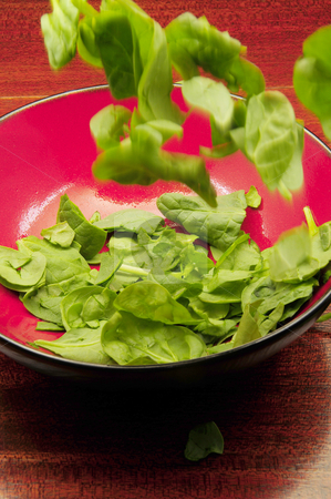 To use this stock image in your creative project, please select the size you need over to the right and click the "Add to Cart" button.
Your downloaded image will come with the Cutcaster watermark removed so don’t worry about the watermark you see on this page. Salad Toss stock photo, A delicious salad being prepared for the evening meal by Timothy OLeary