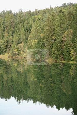 To use this stock image in your creative project, please select the size you need over to the right and click the "Add to Cart" button.
Your downloaded image will come with the Cutcaster watermark removed so don’t worry about the watermark you see on this page. Lake in the forest stock photo, Lake in the forest by Gregory Dean