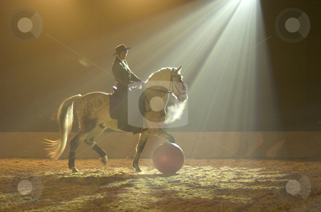 To use this stock image in your creative project, please select the size you need over to the right and click the "Add to Cart" button.
Your downloaded image will come with the Cutcaster watermark removed so don’t worry about the watermark you see on this page. Spanish horse playing ball stock photo, Spanish horse playing ball in spotlight by Andreas Brenner