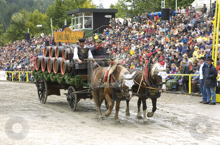 To use this stock image in your creative project, please select the size you need over to the right and click the "Add to Cart" button.
Your downloaded image will come with the Cutcaster watermark removed so don’t worry about the watermark you see on this page. Beer cart stock photo, Beer cart drawn by cart horses in stadium in germany by Andreas Brenner