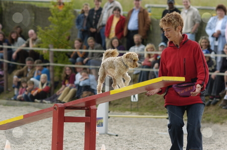To use this stock image in your creative project, please select the size you need over to the right and click the "Add to Cart" button.
Your downloaded image will come with the Cutcaster watermark removed so don’t worry about the watermark you see on this page. Seesaw stock photo, Little dog crossing seesaw by Andreas Brenner