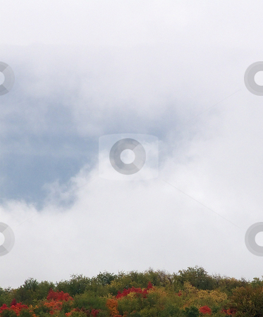 To use this stock image in your creative project, please select the size you need over to the right and click the "Add to Cart" button.
Your downloaded image will come with the Cutcaster watermark removed so don’t worry about the watermark you see on this page. Fog Over Hillside stock photo, Fog rolling in over colorful wooded hillside in Pennsylvania. by Kathy Piper