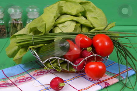To use this stock image in your creative project, please select the size you need over to the right and click the "Add to Cart" button.
Your downloaded image will come with the Cutcaster watermark removed so don’t worry about the watermark you see on this page. Vegetables stock photo, Spring vegetables lying by sideon on table by Jolanta Dabrowska