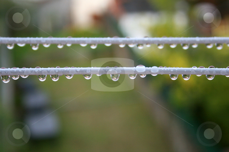 To use this stock image in your creative project, please select the size you need over to the right and click the "Add to Cart" button.
Your downloaded image will come with the Cutcaster watermark removed so don’t worry about the watermark you see on this page. Drops stock photo, Drops of rain water on a wire. by Marc Torrell
