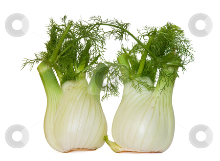 To use this stock image in your creative project, please select the size you need over to the right and click the "Add to Cart" button.
Your downloaded image will come with the Cutcaster watermark removed so don’t worry about the watermark you see on this page. Two fennel stock photo, Two fresh fennel isolated on white background by ANTONIO SCARPI