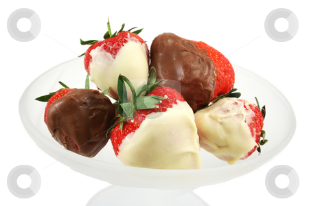 To use this stock image in your creative project, please select the size you need over to the right and click the "Add to Cart" button.
Your downloaded image will come with the Cutcaster watermark removed so don’t worry about the watermark you see on this page. Chocolate Dipped Strawberries Close Up stock photo, Milk and white chocolate dipped fresh strawberries in a frosted glass dish by Helen Shorey