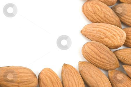 To use this stock image in your creative project, please select the size you need over to the right and click the "Add to Cart" button.
Your downloaded image will come with the Cutcaster watermark removed so don’t worry about the watermark you see on this page. Almonds border. stock photo, Almond nuts forming a frame, in white background. by Pablo Caridad