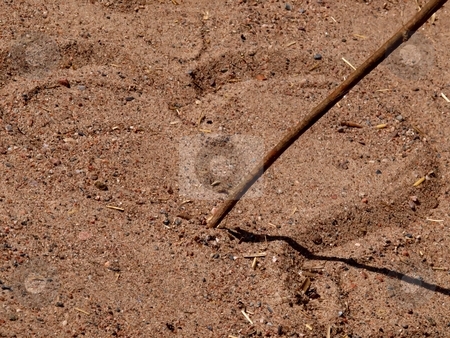 To use this stock image in your creative project, please select the size you need over to the right and click the "Add to Cart" button.
Your downloaded image will come with the Cutcaster watermark removed so don’t worry about the watermark you see on this page. Heart in sand stock photo, Drawing a heart in dark dry sand with a tree branch by Arve Bettum