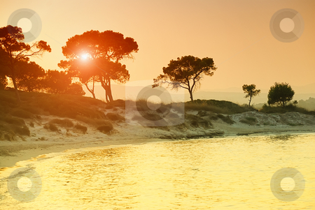 To use this stock image in your creative project, please select the size you need over to the right and click the "Add to Cart" button.
Your downloaded image will come with the Cutcaster watermark removed so don’t worry about the watermark you see on this page. Vourvorou beach in Greece stock photo, Sunset over Vourvorou beach, Sithonia, Chalkidiki, Greece. by Ivan Paunovic