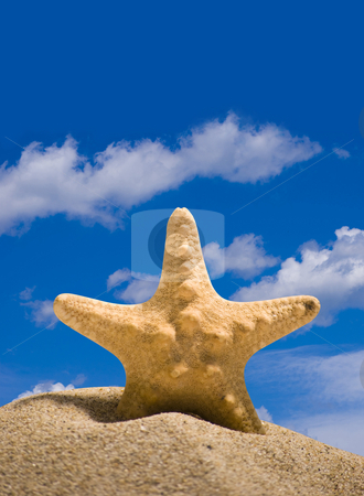 To use this stock image in your creative project, please select the size you need over to the right and click the "Add to Cart" button.
Your downloaded image will come with the Cutcaster watermark removed so don’t worry about the watermark you see on this page. Star fish stock photo, Star fish and sand on blue sky background by Desislava Dimitrova