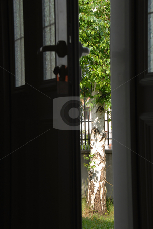 To use this stock image in your creative project, please select the size you need over to the right and click the "Add to Cart" button.
Your downloaded image will come with the Cutcaster watermark removed so don’t worry about the watermark you see on this page. Opened door stock photo, Green birch in yard through opened house door by Julija Sapic