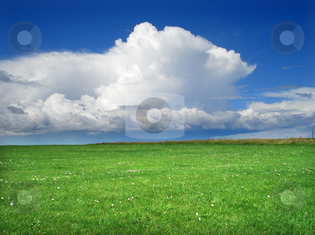 To use this stock image in your creative project, please select the size you need over to the right and click the "Add to Cart" button.
Your downloaded image will come with the Cutcaster watermark removed so don’t worry about the watermark you see on this page. Green field stock photo, Greem grass field and cloudy blue sky by Marc Torrell