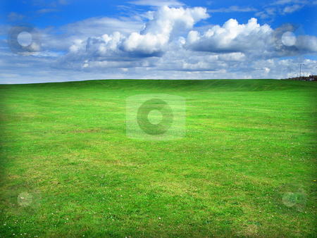 To use this stock image in your creative project, please select the size you need over to the right and click the "Add to Cart" button.
Your downloaded image will come with the Cutcaster watermark removed so don’t worry about the watermark you see on this page. Green field stock photo, Greem grass field and cloudy blue sky by Marc Torrell
