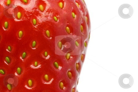 To use this stock image in your creative project, please select the size you need over to the right and click the "Add to Cart" button.
Your downloaded image will come with the Cutcaster watermark removed so don’t worry about the watermark you see on this page. Extreme close up of a strawberry stock photo, Extreme close up of a fresh strawberry, isolated on white background by Gabriele Mesaglio