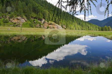 To use this stock image in your creative project, please select the size you need over to the right and click the "Add to Cart" button.
Your downloaded image will come with the Cutcaster watermark removed so don’t worry about the watermark you see on this page. Lago Covel stock photo, Water reflection in Covel Lake, amazing place in italian alps in Pejo valley by ANTONIO SCARPI