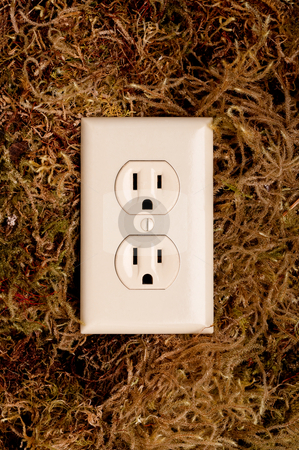 To use this stock image in your creative project, please select the size you need over to the right and click the "Add to Cart" button.
Your downloaded image will come with the Cutcaster watermark removed so don’t worry about the watermark you see on this page. An American power outlet on a moss background stock photo, An American power outlet on a moss background by Vince Clements