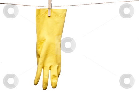 To use this stock image in your creative project, please select the size you need over to the right and click the "Add to Cart" button.
Your downloaded image will come with the Cutcaster watermark removed so don’t worry about the watermark you see on this page. A horizontal image of a single yellow rubber glove hanging on a stock photo, A horizontal image of a single yellow rubber glove hanging on a clothes line by Vince Clements