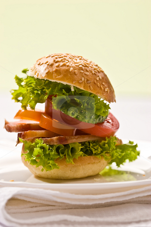 To use this stock image in your creative project, please select the size you need over to the right and click the "Add to Cart" button.
Your downloaded image will come with the Cutcaster watermark removed so don’t worry about the watermark you see on this page. Corned-beef sandwich stock photo, Food serias: bread and butter with meat and lettuce by Gennady Kravetsky