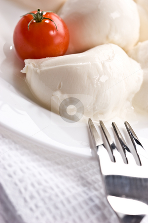 To use this stock image in your creative project, please select the size you need over to the right and click the "Add to Cart" button.
Your downloaded image will come with the Cutcaster watermark removed so don’t worry about the watermark you see on this page. Mozzarella stock photo, Food series: mozzarella (soft cheese) and tomato by Gennady Kravetsky