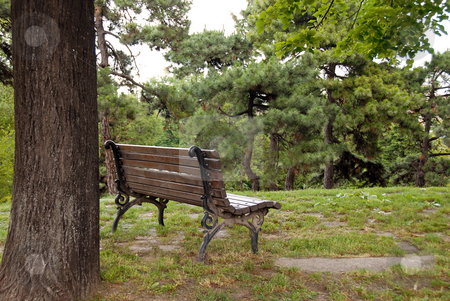 To use this stock image in your creative project, please select the size you need over to the right and click the "Add to Cart" button.
Your downloaded image will come with the Cutcaster watermark removed so don’t worry about the watermark you see on this page. Wooden bench in park stock photo, Wooden bench on hill in park next to tree by Julija Sapic