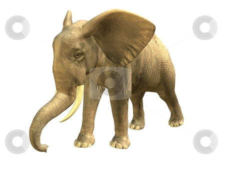 To use this stock image in your creative project, please select the size you need over to the right and click the "Add to Cart" button.
Your downloaded image will come with the Cutcaster watermark removed so don’t worry about the watermark you see on this page. WALKING ELEPHANT stock photo, 3D rendered isolated walking elephant. by Patrik Ruzic