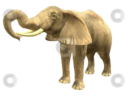 To use this stock image in your creative project, please select the size you need over to the right and click the "Add to Cart" button.
Your downloaded image will come with the Cutcaster watermark removed so don’t worry about the watermark you see on this page. Drinking elephant stock photo, 3D rendered isolated drinking elephant. by Patrik Ruzic