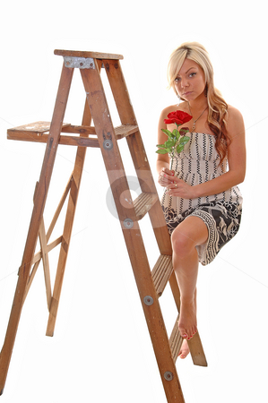 To use this stock image in your creative project, please select the size you need over to the right and click the "Add to Cart" button.
Your downloaded image will come with the Cutcaster watermark removed so don’t worry about the watermark you see on this page. Girl on stepladder. stock photo, Pretty young girl in a black and white dress with long blond
hair standing on the wooden stepladder, looking in the camera. by Horst Petzold