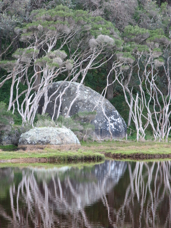 To use this stock image in your creative project, please select the size you need over to the right and click the "Add to Cart" button.
Your downloaded image will come with the Cutcaster watermark removed so don’t worry about the watermark you see on this page. Moon Rock stock photo, Tidal River, Wilsons Promontory National Park, Victoria Australia by Robyn Butler