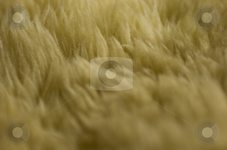 To use this stock image in your creative project, please select the size you need over to the right and click the "Add to Cart" button.
Your downloaded image will come with the Cutcaster watermark removed so don’t worry about the watermark you see on this page. Sheepskin stock photo, Close-up on sheepskin by Andreas Brenner