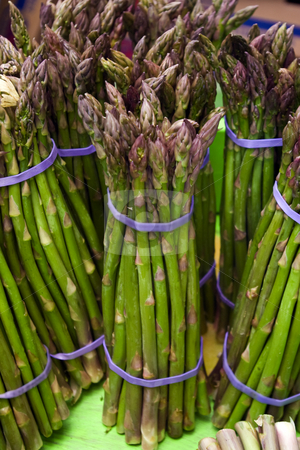 To use this stock image in your creative project, please select the size you need over to the right and click the "Add to Cart" button.
Your downloaded image will come with the Cutcaster watermark removed so don’t worry about the watermark you see on this page. Asparagus Bunches stock photo, Bunches of asparagus at a local farmers' market. by Steve Carroll
