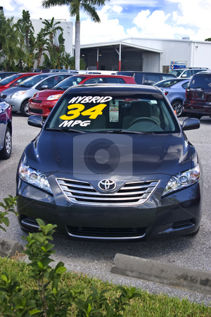 To use this stock image in your creative project, please select the size you need over to the right and click the "Add to Cart" button.
Your downloaded image will come with the Cutcaster watermark removed so don’t worry about the watermark you see on this page. 2009 Hybrid Camry stock photo, New Hybrid Camry on Toyota dealer's lot. by Steve Carroll