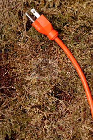 To use this stock image in your creative project, please select the size you need over to the right and click the "Add to Cart" button.
Your downloaded image will come with the Cutcaster watermark removed so don’t worry about the watermark you see on this page. An orange extension cord on moss stock photo, An orange extension cord on moss by Vince Clements
