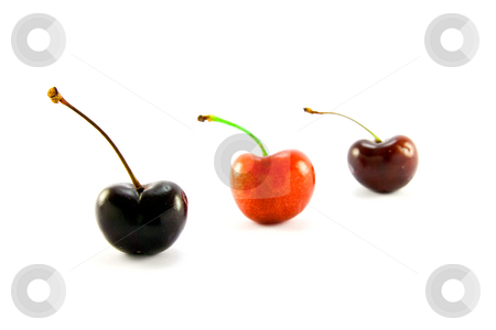 To use this stock image in your creative project, please select the size you need over to the right and click the "Add to Cart" button.
Your downloaded image will come with the Cutcaster watermark removed so don’t worry about the watermark you see on this page. Three Cherries stock photo, Three cherries in a line on a white background by Keith Wilson