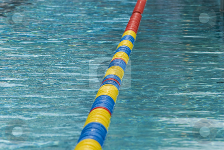 To use this stock image in your creative project, please select the size you need over to the right and click the "Add to Cart" button.
Your downloaded image will come with the Cutcaster watermark removed so don’t worry about the watermark you see on this page. Swimming pool detail stock photo, Swimming pool water surface detail with floaters. by Gert-Jan Kappert