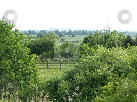 To use this stock image in your creative project, please select the size you need over to the right and click the "Add to Cart" button.
Your downloaded image will come with the Cutcaster watermark removed so don’t worry about the watermark you see on this page. Leicestershire countryside stock photo, Forest veiw in the countryside by Lee Measures