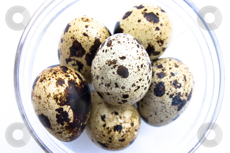 To use this stock image in your creative project, please select the size you need over to the right and click the "Add to Cart" button.
Your downloaded image will come with the Cutcaster watermark removed so don’t worry about the watermark you see on this page. Quail eggs in glass bowl stock photo, Overhead shot of quail eggs in glass bowl on white background by Christian Rhein