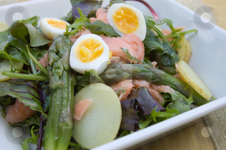 To use this stock image in your creative project, please select the size you need over to the right and click the "Add to Cart" button.
Your downloaded image will come with the Cutcaster watermark removed so don’t worry about the watermark you see on this page. Salmon and Asparagus Salad stock photo, Close up 45 degree shot of lunch dish in square deep plate by Christian Rhein
