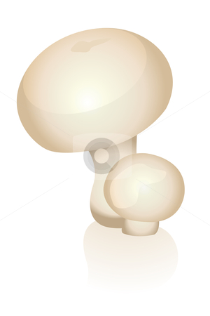 To use this stock image in your creative project, please select the size you need over to the right and click the "Add to Cart" button.
Your downloaded image will come with the Cutcaster watermark removed so don’t worry about the watermark you see on this page. Mushrooms stock vector clipart, Illustration of mushroom by Laurent Renault
