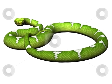 To use this stock image in your creative project, please select the size you need over to the right and click the "Add to Cart" button.
Your downloaded image will come with the Cutcaster watermark removed so don’t worry about the watermark you see on this page. Defending green python stock photo, Green python rendered on white background by Patrik Ruzic