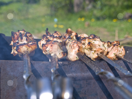 To use this stock image in your creative project, please select the size you need over to the right and click the "Add to Cart" button.
Your downloaded image will come with the Cutcaster watermark removed so don’t worry about the watermark you see on this page. Shish kebab stock photo, Shish kebab preparing at the chargrill outdoor by Sergej Razvodovskij