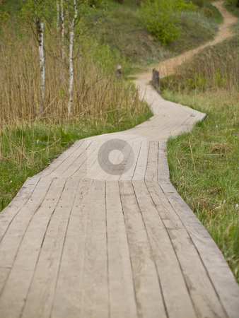 To use this stock image in your creative project, please select the size you need over to the right and click the "Add to Cart" button.
Your downloaded image will come with the Cutcaster watermark removed so don’t worry about the watermark you see on this page. Path stock photo, Wooden path in the green grass and nature by Sergej Razvodovskij