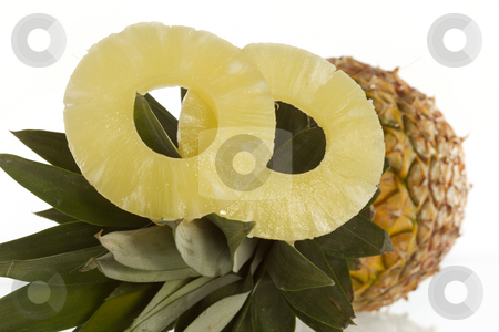 To use this stock image in your creative project, please select the size you need over to the right and click the "Add to Cart" button.
Your downloaded image will come with the Cutcaster watermark removed so don’t worry about the watermark you see on this page. Pineapple stock photo, Pineapples can be kept perfectly as canned food. by Sergey Goruppa